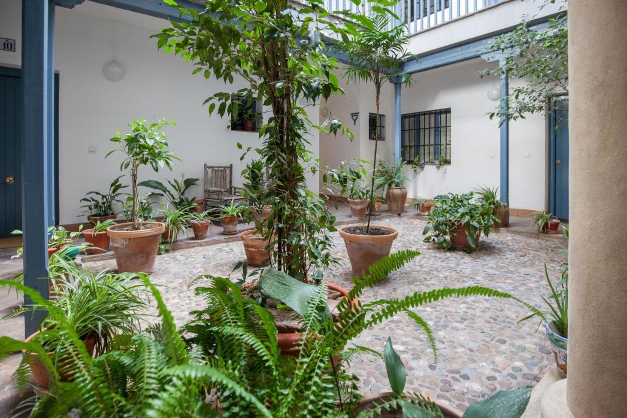 Espectacular Con Terraza Privada Parking Appartement Séville